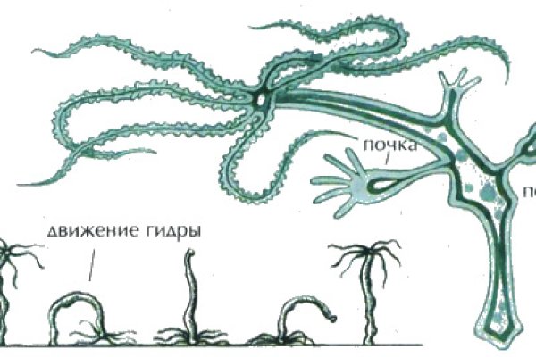 Ссылка на сайт mega onion