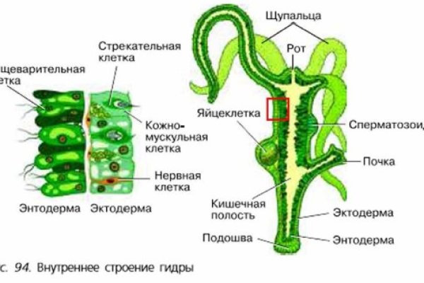 Ссылка на сайт кракен онион